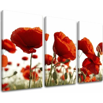 Obraz na stenu KVETY - 90x60
