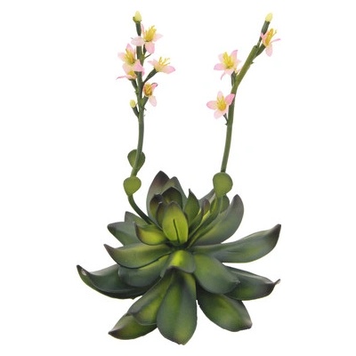 Skalní růže světle růžová, 32 cm