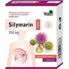 Silymarin Forte 250 mg + vitamin D 40 tablet