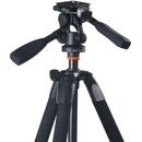 Vanguard Alta 234 AP