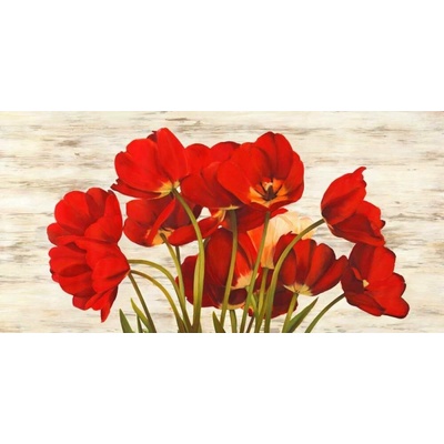 Francouzské máky II 1 deska 100x50