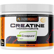 Androrganics Creatine Creapure 300 g