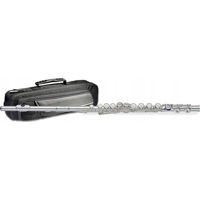 Stagg WS FL211S – Zbozi.Blesk.cz