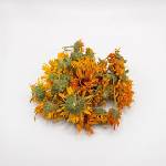 The Botanist Garden Сушени невен - цели цветове, Calendula officinalis, отгледани в Палеу (The Botanist Garden by Barshaker)