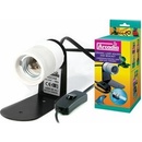 Arcadia Lampholder Set FP-RADCHX