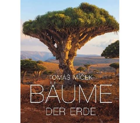 Bäume der Erde