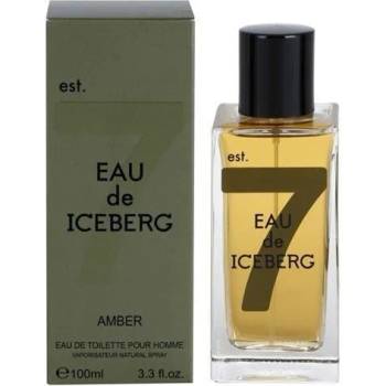 Iceberg Eau de Iceberg Amber pour Homme EDT 100 ml Tester