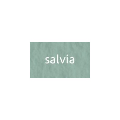 Tiziano umělecký papír A4 160g salvia