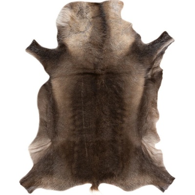 Najkoberce Renifer POK010 Premium hnedý