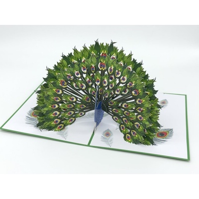 3D Přání Peacock Majesty