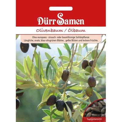 Dürr Samen Olivovník - 1 bal.