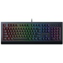 Razer Cynosa Chroma V2 RZ03-03400100-R3M1