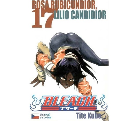 Bleach 17