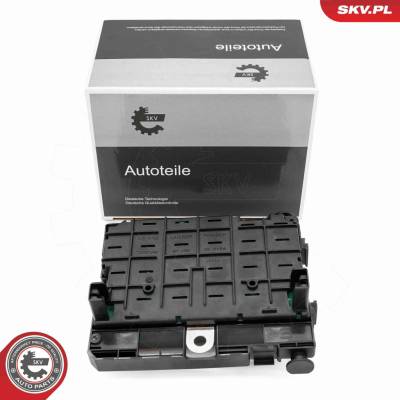 Řídící jednotka, řízení motoru ESEN SKV 96SKV321
