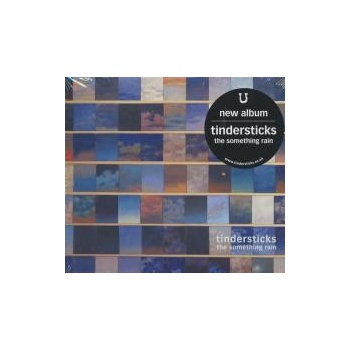 TINDERSTICKS: SOMETHING RAIN CD