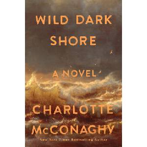 Wild Dark Shore (ISBN: 9781250827951)