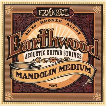 Ernie Ball 2065