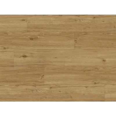EBS Experto LVT 55 Dub Ravello 4,181 m2
