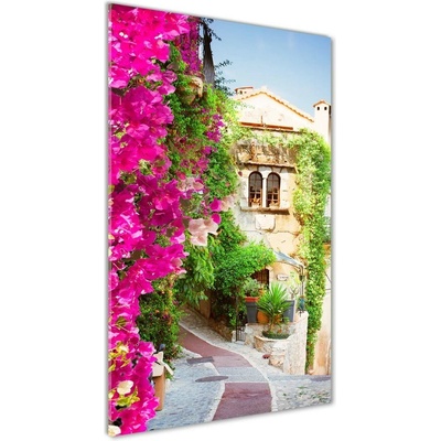 Vertikálny foto obraz sklenený Provans Francúzsko 50x100 cm