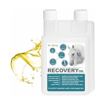 DROMY Recovery oil 3 l