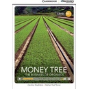 CDE 8 MONEY TREE +ONLINE CODE