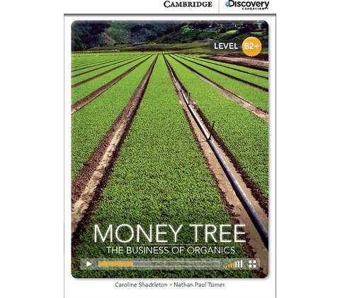 CDE 8 MONEY TREE +ONLINE CODE