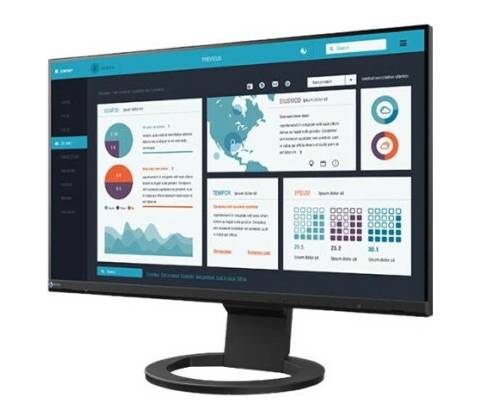 Eizo FlexScan EV2490-BK