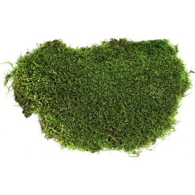 Stabilizovaný mach plochý 0,5 kg - zelený