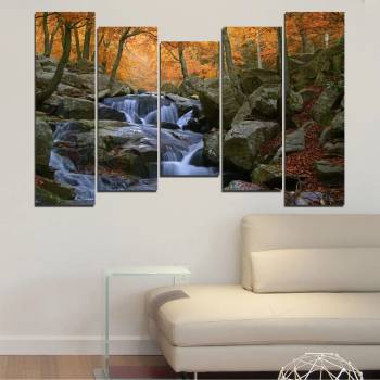 Vivid Home Картини пана Vivid Home от 5 части, Водопад, Канава, 160x100 см, 4-та Форма №0018