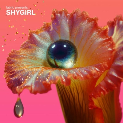 Various - Fabric Presents Shygirl CD
