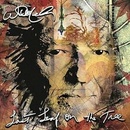 Willie Nelson Last Leaf onThe Tree CD