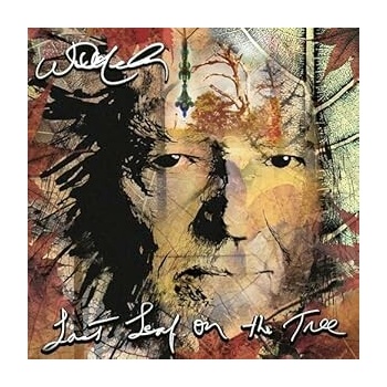 Willie Nelson Last Leaf onThe Tree CD
