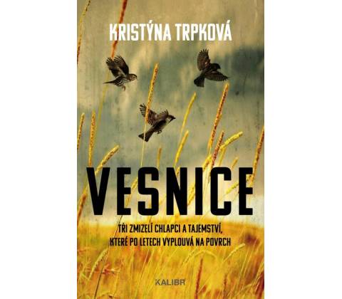 Vesnice