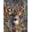 Norimpex - Puzzle Diamant painting: Deer's view 30x40cm - 1 - 39 piese