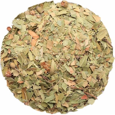 Nefertitis Myrta NF15392 20 g