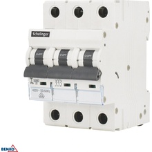 Schelinger 6A B, 6 kA BM-A02-G8-3P-B06