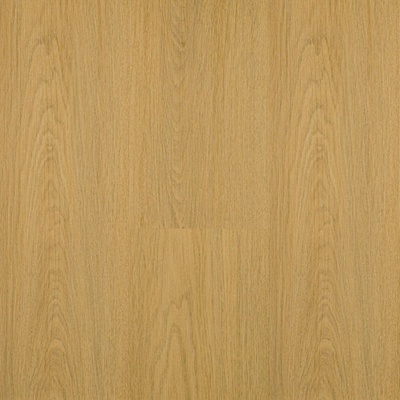 Egibi Canadian Design Premium Yukon 2,17 m²