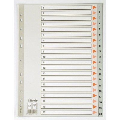 Esselte Разделител пластик 1-20 Esselte А4 (1302055-100107)