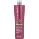Inebrya Color Perfect Shampoo 300 ml