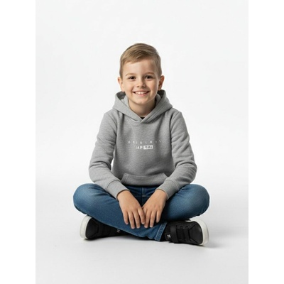 Reverse mikina s kapucňou Sivá