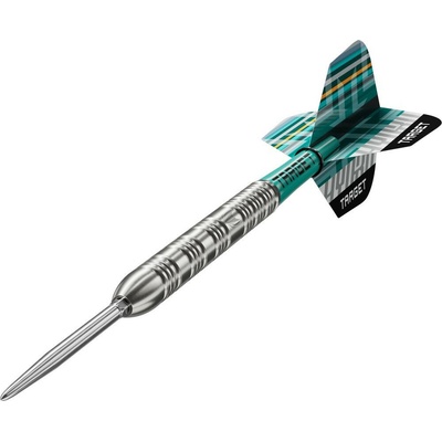 steel Target Hydro 02 21g SP 90% wolfram