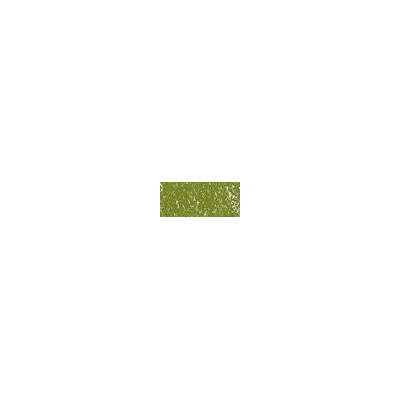 Sennelier suchý pastel 169 moss grey green