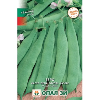 Opal Zi Фасул Ебро - зелен, плосък, нисък