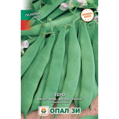 Opal Zi Фасул Ебро - зелен, плосък, нисък