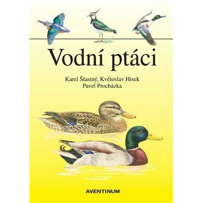 Vodní ptáci