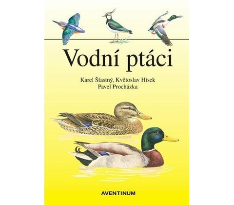 Vodní ptáci