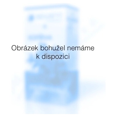 Apotheke Pohádkový dětský čaj Dých.cestyBIO20 x 1.5g