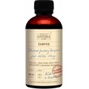 Havlíkova apotéka Cibuľovo fazuľový vlasový šampón na svetlé vlasy 200 ml