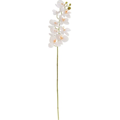 KS ORCHIDEA PHALAENOPSIS BIELA 95CM