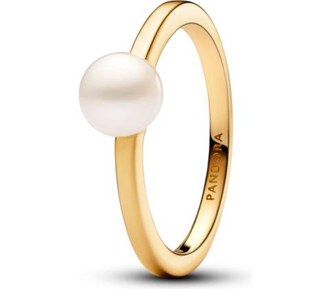 Pandora 163157C01